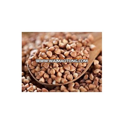 Organic Buckwheat