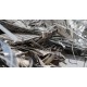 Stainless Steel Scrap