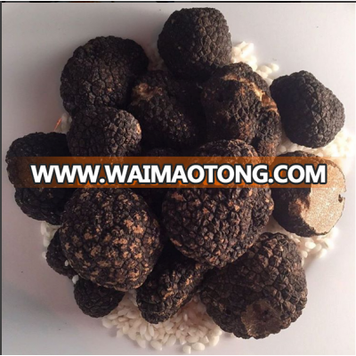 Fresh French Truffles